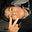 Russel Keneth Melgarejo Campos