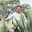 Jose Lopez Gaytan