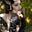 july_hellmann
