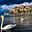 Riflessi Di Lago