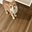 andrea_climaco5410