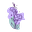 jy9pwpmypk