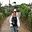 virginie_lecalve