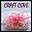 craftcove