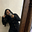 tania_haylie