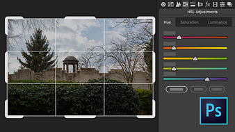 Curso 2 - Controles básicos para mejorar la imagen. Un curso de  de Núria Aguadé