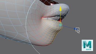 Curso 4 – Correctas topologías para la animación. Un curso de  de Miguel Miranda