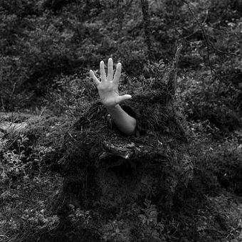 I Am The Forest - my project for the course Introduction to Narrative Photography 
