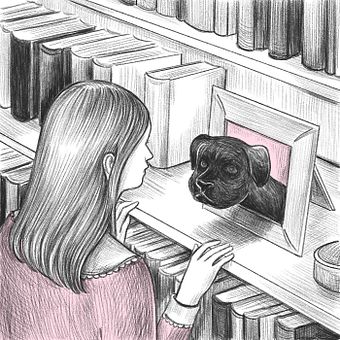 Animated illustration for The Washington Post