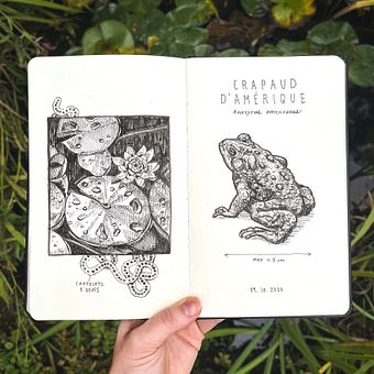 Meu projeto para o curso: Esboços diários para inspiração criativa. Esboçado, Desenho, Sketchbook, Ilustração tradicional, e Criatividade projeto de Chloé Levasseur - 03.11.2023