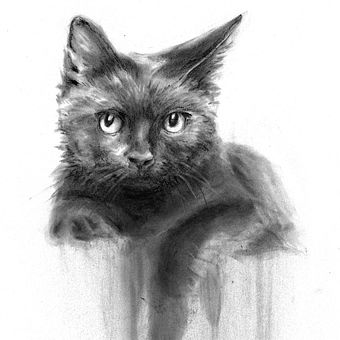 Projekt z kursu Ekspresyjne rysowanie węglem. Drawing, Fine Arts, Portrait Drawing, and Naturalistic Illustration project by Joanna Zakrzewska - 12.07.2024
