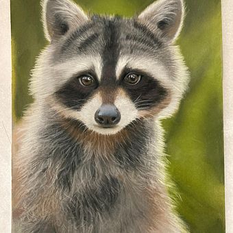 Mapache en pastel. Drawing, and Fine Arts project by Verónica - 06.21.2025