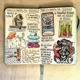Dankbaarheidsdagboek: september 2025. Een project van Traditionele illustratie,  Tekening, Sketchbook, Stor y telling van Stig Legrand - 07.10.2025