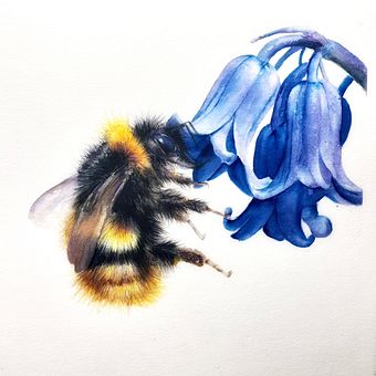 Watercolour bee with a bluebell . Pintura em aquarela projeto de Sarah Stokes - 10.11.2025