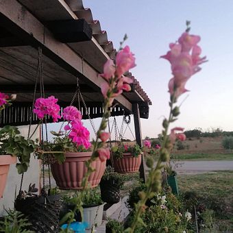 From Construction Waste Dump to Cozy Home. DIY, Design, Stor, telling, Interior Design, Architecture, Furniture Design, and Making project by Hanna Lj. Kuštera - 01.14.2026