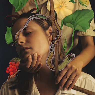 Los collages Magdalena Franczuk y Ashkan Honarvar 