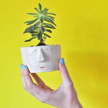 Pompilo Plants, macetas con personalidad y nombre propio