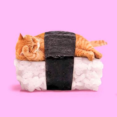 Paul Fuentes reinventa el pop art con objetos cotidianos