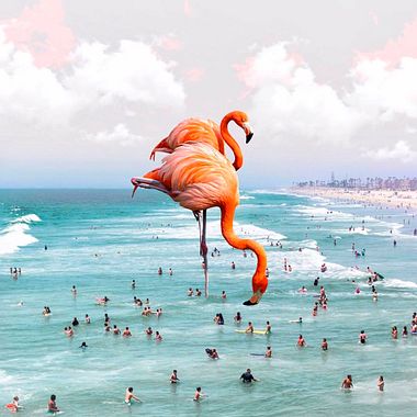 Karen Cantuq reinventa la naturaleza con sus collages fotorrealistas