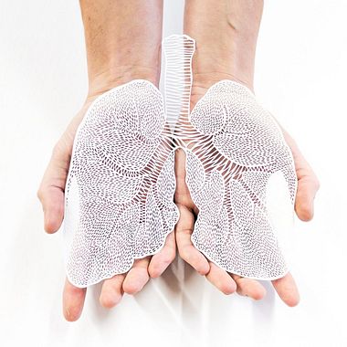 Los órganos vitales tallados en papel de Ali Harrison