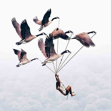 Luisa Azevedo desafía a la imaginación con sus fotografías