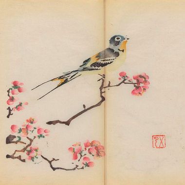 Explora el cuaderno impreso a color más antiguo del mundo