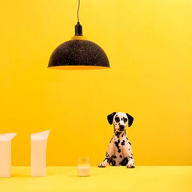 Masquespacio: branding 360º sensorial