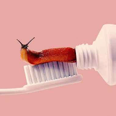 Humor y surrealismo en las imágenes de Randy Lewis 