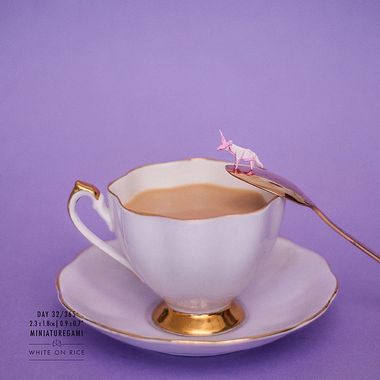 White on rice: un origami al día desde 2014