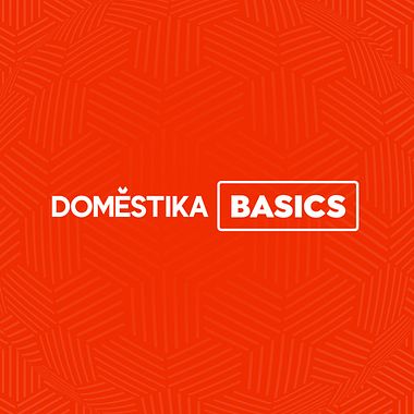 Domestika Basics: cursos para aprender a usar un software sin conocimientos previos