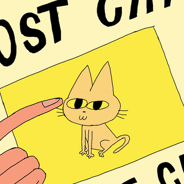 Un gato animado nos enseña cómo es la vida independiente