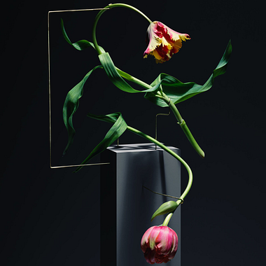 La danza de la muerte floral retratada por Carl Kleiner