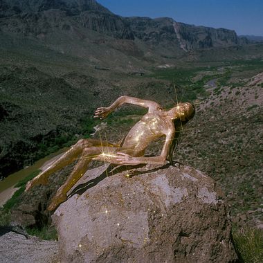Synchrodogs: el paisaje es mi vestido