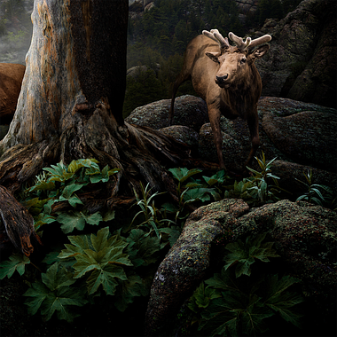 Nick Pedersen hace magia hiperrealista con Photoshop