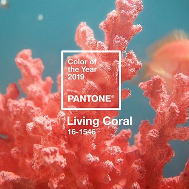 Y el color del año 2019 para Pantone es...