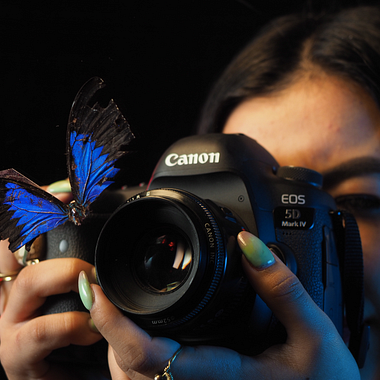¿Cómo escoger una cámara fotográfica?