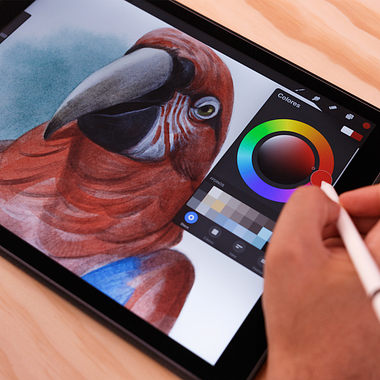 5 cursos de Procreate para descubrir sus múltiples funciones