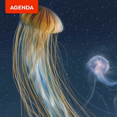 Agenda Domestika: febrero 2020