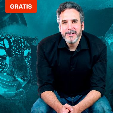 Aprende gratis dirección de arte para motion graphics con el curso de Helio Vega