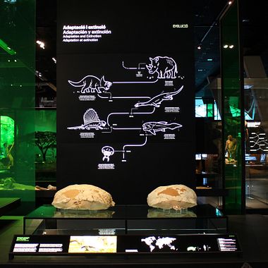 ¿Cómo renovar la información de un museo?