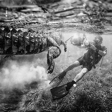10 fotógrafos de natureza que você deve seguir no Instagram