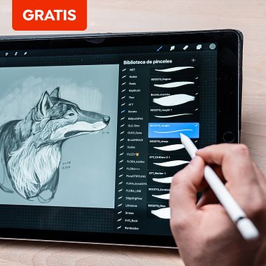 Descarga gratis una colección de pinceles para Procreate