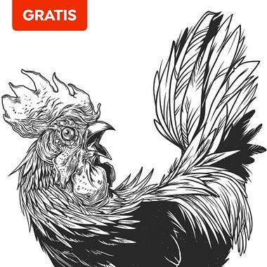 Descarga gratis un libro de ilustraciones para colorear e intervenir