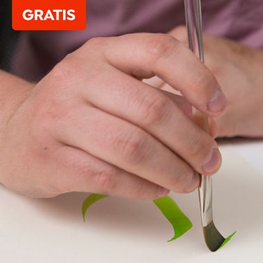Descarga gratis una guía de trazos básicos de caligrafía