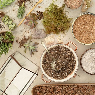 5 ideas para renovar tu espacio