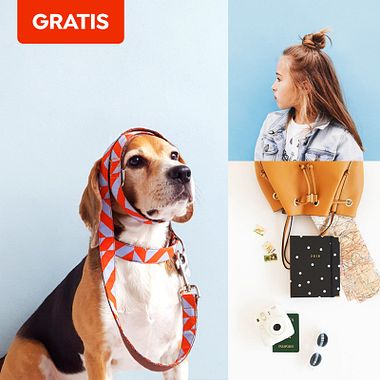 5 lecciones gratis de marketing para Instagram