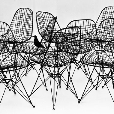 5 icónicos trabajos de Charles y Ray Eames