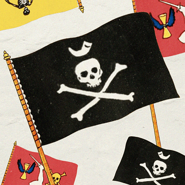 Why did all pirates use the same flag? 