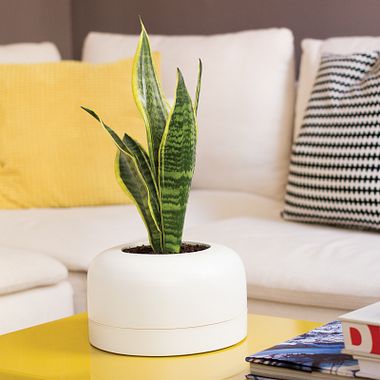 5 cursos para crear cerámica en casa con tus manos 