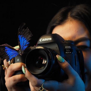How to Choose a Camera